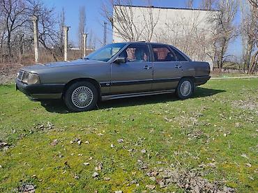 Audi: Audi 100: 1986 г. — 4