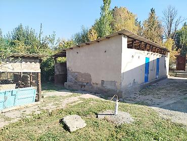 Продаётся жилой дом с хозяйственными постройками и участком. Основные
