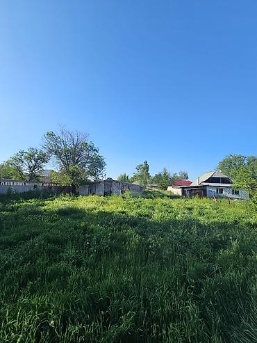 кафе ош: 600 соток, Курулуш, Кызыл китеп — 4