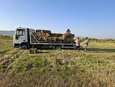 кузов 220: Эвакуатор, Iveco, 1998 г., Сдвижная — 8