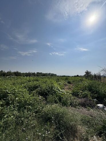 Сельхоз предприятия: Продаю Ферма КРС, 330 соток, Действующий, С оборудованием, Холодная вода, Электричество — 12