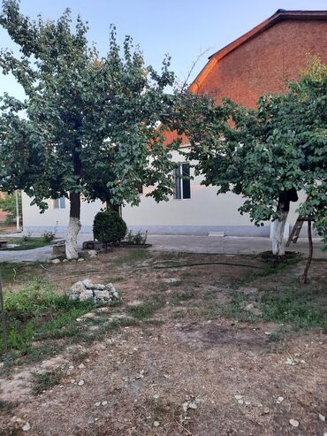 печи для дома с водяным отоплением бишкек: Абрикосы Королевский, Оптом