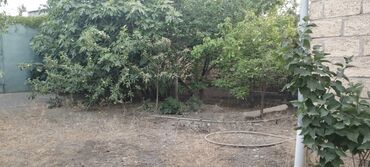 Həyət evləri və villaların satışı: 3 otaqlı, 100 kv. m, Kredit yoxdur, Orta təmir — 4