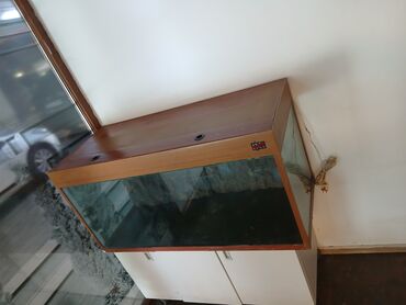 Akvariumlar: Böyük həcmli akvarium komplekti - Ölçü: təxminən 120–130 sm uzunluq
