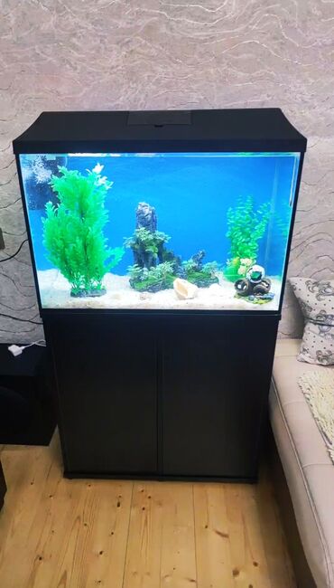 10257 elan: Akvarium baliq akvarum balıq akvariumuAquael akvariumUzunu 75