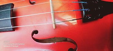 violoncel: Skiripka Carlovy 4/3 ölçülü (VLA 8 Çex Respublikası istehsalı) — 4