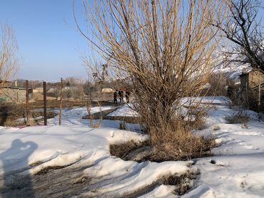 Продажа участков: 5 соток, Красная книга — 8