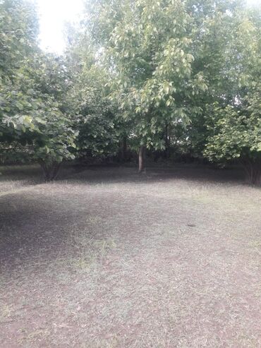 Torpaq sahələrinin satışı: 20 sot, Tikinti, Mülkiyyətçi, Kupça (Çıxarış), Müqavilə — 9