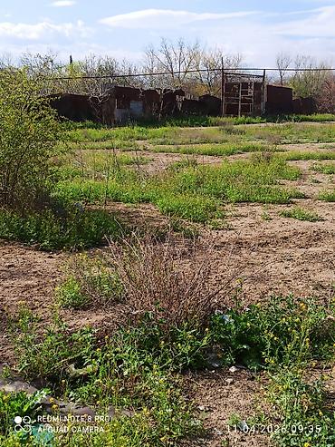 Torpaq sahələrinin satışı: Tikinti, Müqavilə — 5