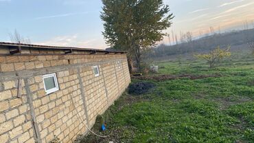 Torpaq sahələrinin satışı: Kənd təsərrüfatı, Mülkiyyətçi — 11