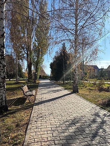 Продажа квартир: 1 комната, 45 м², 2 этаж — 11
