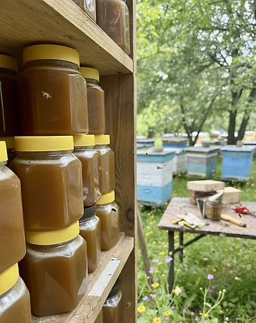 Мёд: Оптом Натуральный горный мёд 🌿 Без добавок и сахара. Сильный аромат — 5