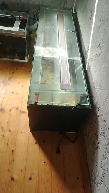 Dördbucaq akvarium, Boş, 250 l
