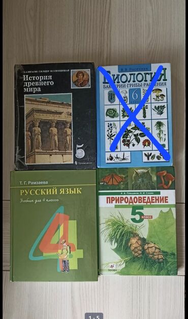 книга по биологии 9 класс: Учебник, 4 класс, русский язык Т. Г. Рамзаева. Состояние нового. 150