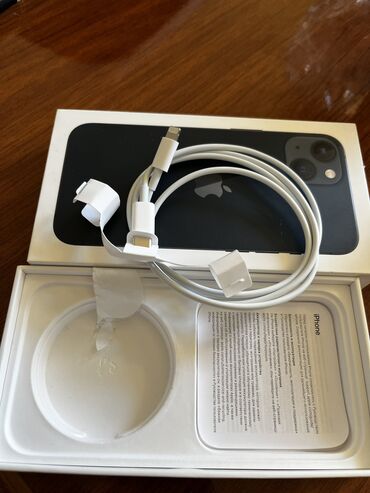 adam terezisi: Adapter Apple, Yeni