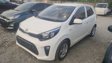 авто из кореи в наличии в бишкеке: Kia Morning: 2019 г., 1 л, Автомат, Бензин, Хетчбек