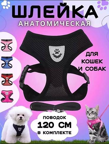 Животные: Широкие шлейки с поводком для собак и кошек. Качество отличное — 5