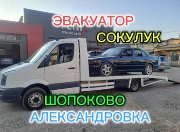 авто диогностика: С лебедкой