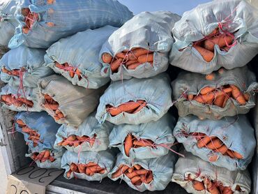 жидкий обой цена в бишкеке: Кормовой От 10 мешок доставка бесплатно по сокулуку дальше сокулука