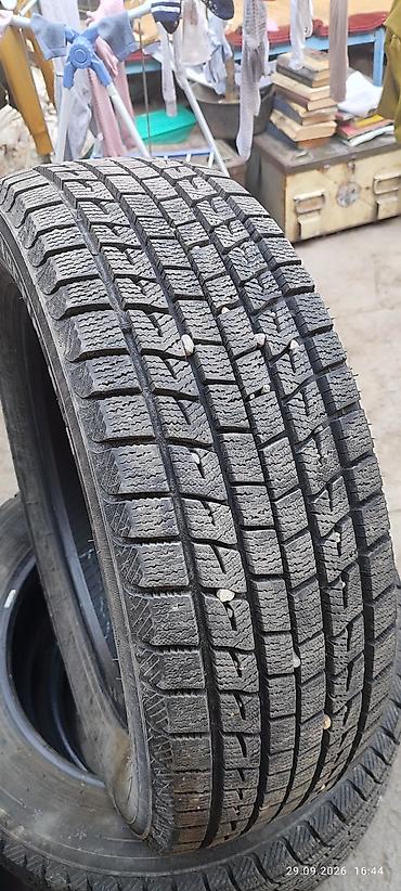 Шины: Зимние шины Roadstone (Nexen) Winguard Arctic S-9, без шипов. почти — 3
