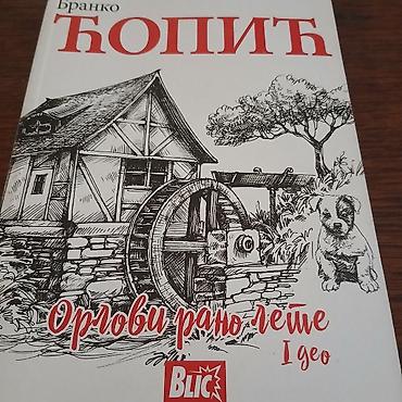 igle: Mini knjiga orlovi rano lete branko copic — 1