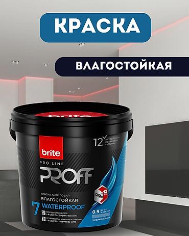 Акриловая краска: Краска BRITE PROFESSIONAL интерьерная влагостойкая белая — 1