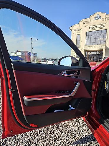 Kia: Kia Stinger: 2019 г., 2 л, Автомат, Бензин, Хэтчбэк — 18