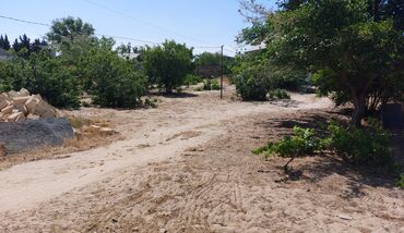 Torpaq sahələrinin satışı: 12 sot, Tikinti, Maklerlər narahat etməsin, Kupça (Çıxarış) — 3