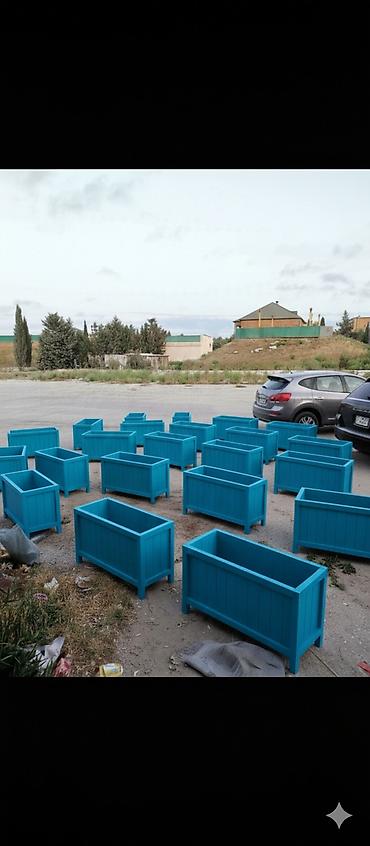kalina bitkisi: Sifarişdə qəbul olunur.hazır 120 ədəd var. sifarişlədə — 1