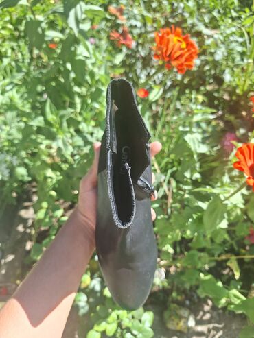 Gležnjače: Ženske kratke čizme – više modela Muške cipele. cena od 30 do 60 — 43