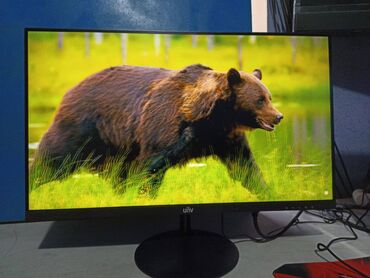 Мониторы: Монитор, Новый, 23" - 24" — 3