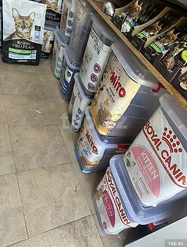Yemlər: Salam, 35lt plastik qablar satılır. Ümumilikdə 26 ədəddir, zoo — 1