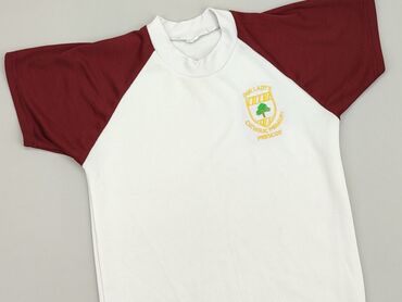 białe t shirty zara: T-shirt, S (EU 36), condition - Very good