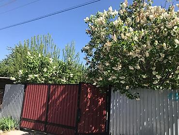 Продажа дач: 🌿 ДАЧА В ГОРНОМ ВЕТЕРКЕ — ВАШЕ СПАСЕНИЕ ОТ ГОРОДСКОЙ ЖАРЫ И СМОГА! 🌿 — 9