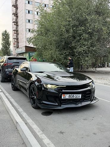 обвес винкс: Chevrolet Camaro: 2020 г., 2 л, Автомат, Бензин, Купе — 2