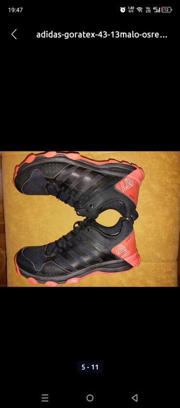 Patike: Patike, Adidas, veličina - 43.5 — 4