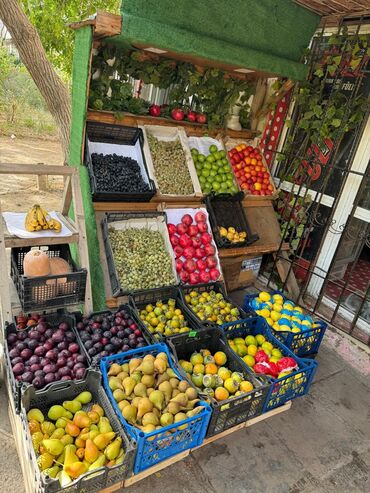 bina az 7 mkr kiraye evler: Mağazalar