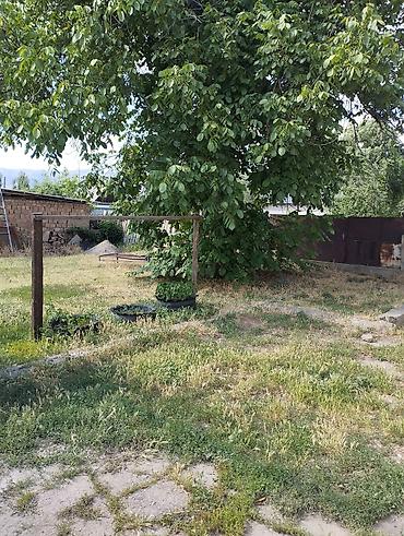 Продажа домов: Дом, 67 м², 4 комнаты, Собственник, Евроремонт at lalafo.kg — 7 Продажа домов: Дом, 67 м², 4 комнаты, Собственник, Евроремонт — 7