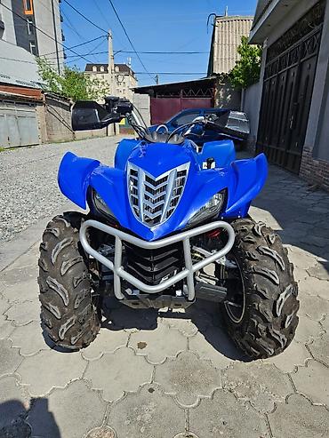 квадрацикль: Квадроцикл Yamaha, Бензин, 450 куб. см, Взрослый — 3