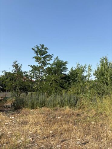 купить участок под бизнес в бишкеке: 5 соток, Курулуш, Кызыл китеп, Техпаспорт, Сатып алуу-сатуу келишими