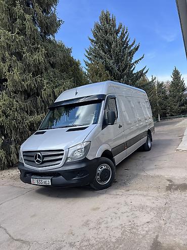 Mercedes-Benz: Mercedes-Benz Спринтер: 2008 г., Фургон — 9