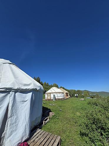 Аренда юрт: Аренда юрты, Каркас Деревянный, 100 баш, Стол — 8