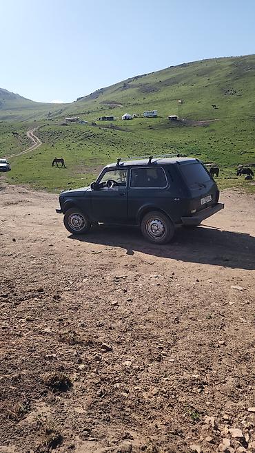 ВАЗ (ЛАДА): ВАЗ (ЛАДА) 2121 (4x4): 2011 г., 1.6 л, Кол менен иштөөчү, Бензин, Жол тандабас — 1