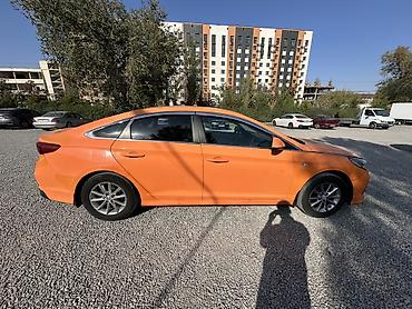 Hyundai Sonata: 2019 г., 2 л, Автомат, Газ, Седан