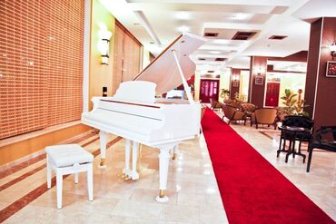 Kommersiya daşınmaz əmlakının satışı: Badamdar qəsəbəsi ərazisində 4 ulduzlu 5 mərtəbəli hotel satılır — 12