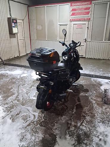 лампы для освещения: Скутер/мопед городского типа. Основные особенности: - Агрессивный — 3