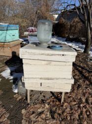 собаку в добрые руки: Продаю улики для пчел Б/У Цена за штуку. Просьба звонить по телефону