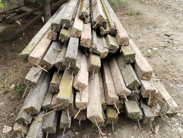 drvene police za špajz: Betonski stubovi za vinograd, visine 2 m, 70 kom, cena 1000 din komad