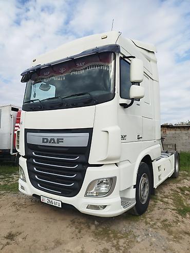 Тягачи: Тягач, DAF, 2014 г., Тентованный — 12