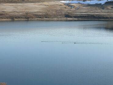 Продажа участков: 110 соток, Для строительства, Красная книга — 9